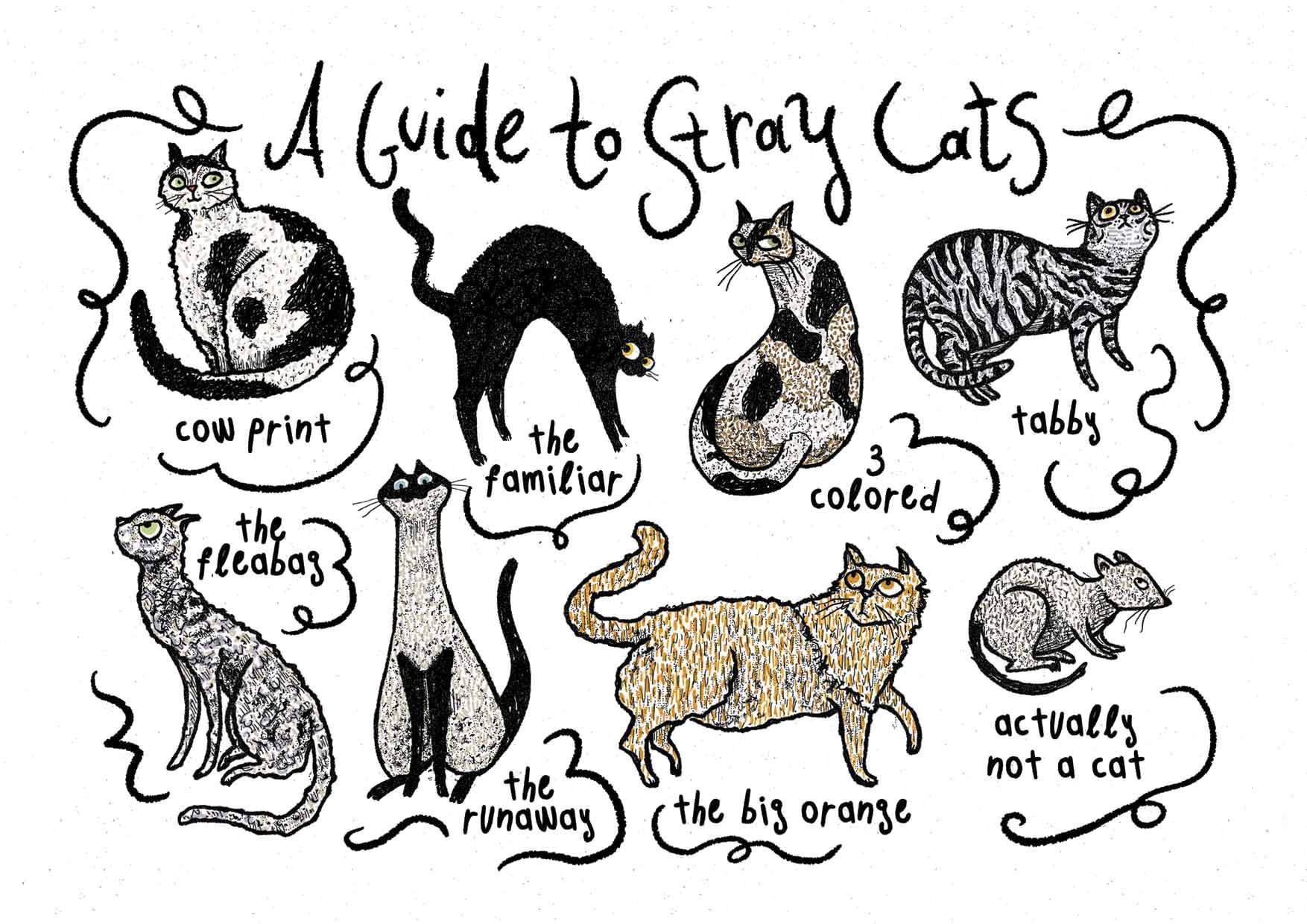 stray game cat sad Poster for Sale by WellingtonAdams