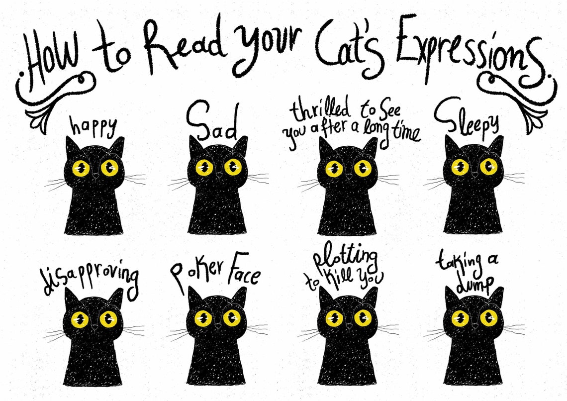 How to Read Your Cat's Expressions Signed Art Print Guide Black