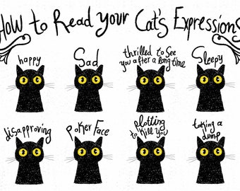 How to Read Your Cat's Expressions Signed Art Print Guide Black Catlover Greeting Card Pet Poster Wallart Fun Postcard Catlady Mother Gift