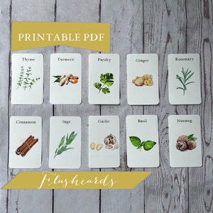 Herb Flash Cards For Kids - Printable Nature Study & Homeschooling Materials - Educational Art - Set of 12 Watercolor Flashcards