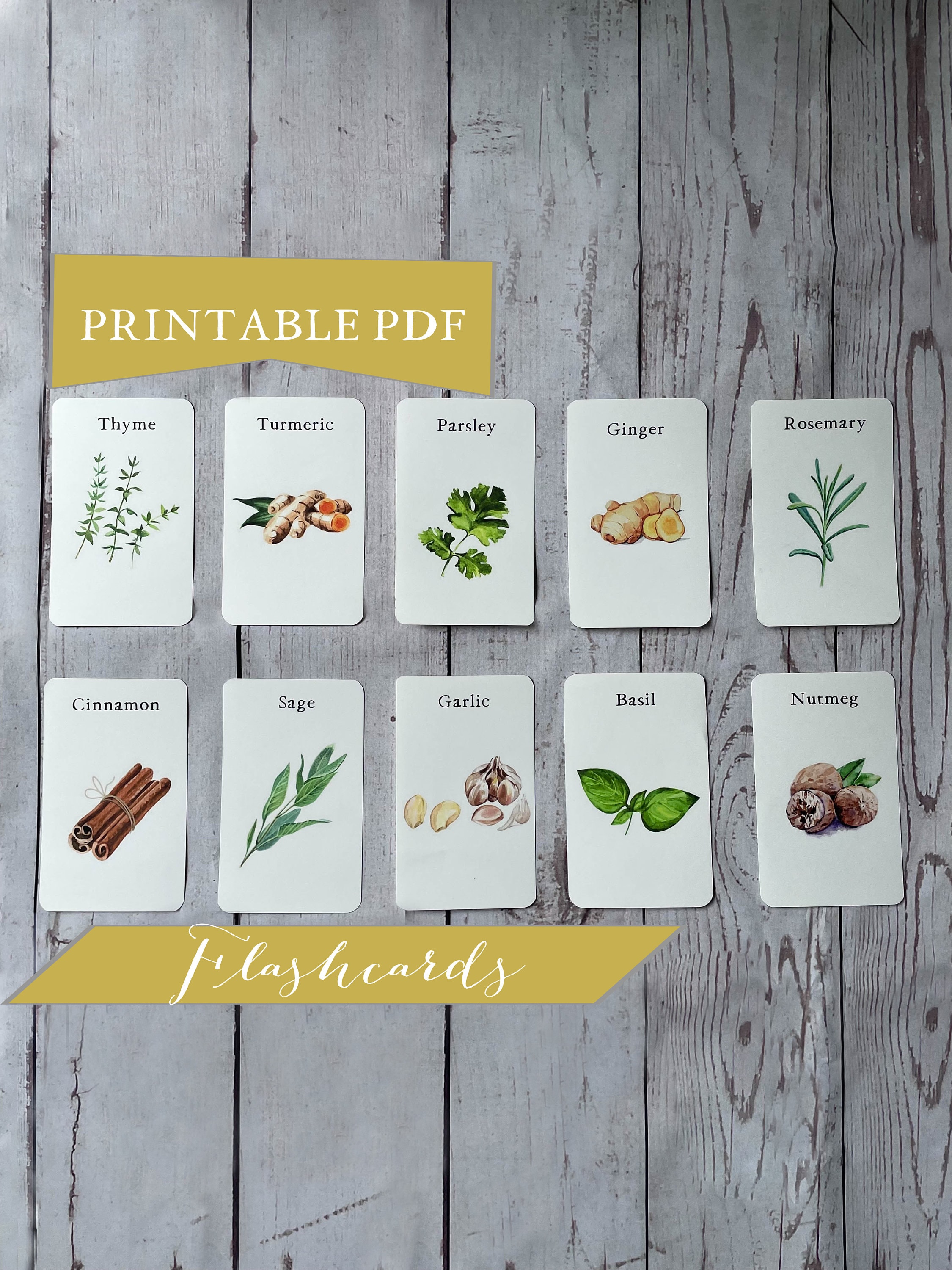 Herb Flash Cards for Kids Printable Nature Study & - Etsy