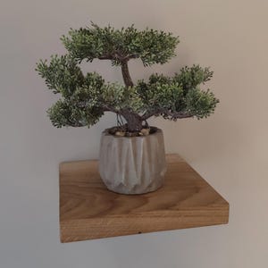 Shelf 20 x 20 natural OAK, small shelf, wall unit, gift idea, fits everywhere, natural wood, wood shelf