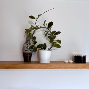 Pu&ograve; includere: Uno scaffale in legno con una pianta in vaso, un vaso decorativo e due candele bianche. Lo scaffale &egrave; montato su una parete bianca.