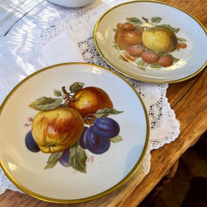 Set Of 2 JWK Western Germany Fine Porcelain Salad Plate Fruit Motif 7.5” Vintage  l