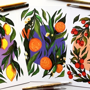 Paquete de frutas A4 300gsm