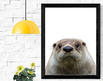 Lámina fotográfica de una adorable nutria de río / Decoración de pared con un divertido animal (descarga digital)