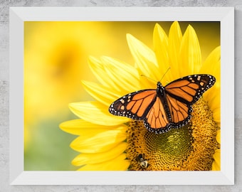Fotografía de mariposa monarca y girasol / Decoración de pared alegre (Descarga digital)