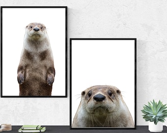 River Otter BUNDLE on White Background | Get 2 Wall Art Prints, Digital Download, Otter Photo, Otter Prints, Animal Print.  Get Yours Today!