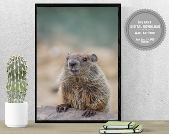 Fotografía impresa de marmota / Retrato en tonos naturales (descarga digital)