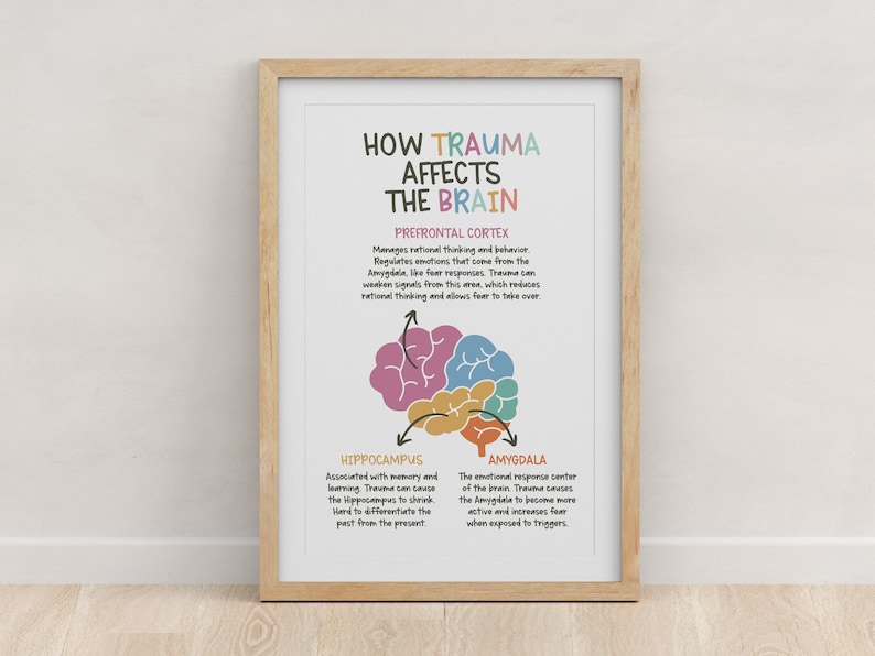 May include: An infographic explaining how trauma affects the brain. The image shows a simplified diagram of the brain with the prefrontal cortex, hippocampus, and amygdala highlighted. The text explains how each part of the brain is affected by trauma.