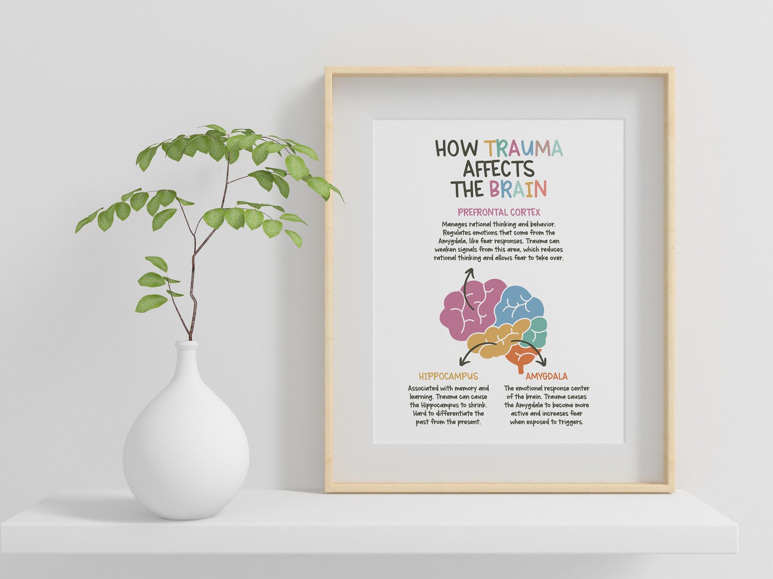 How Trauma Affects the Brain Poster, Positive Affirmations, Therapy ...