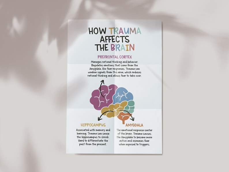 May include: A colorful infographic illustrating how trauma affects the brain. The image shows a simplified diagram of the brain with the prefrontal cortex, hippocampus, and amygdala labeled and explained. The text explains how trauma can impact each area of the brain.