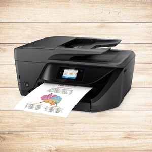 May include: A black all-in-one printer with a paper tray and a color touchscreen display. The printer is printing a page with a diagram of the brain labeled with the words "The Brain", "Frontal Lobe", "Parietal Lobe", "Temporal Lobe", "Occipital Lobe", "Superficial", "Deep", and "Animals".