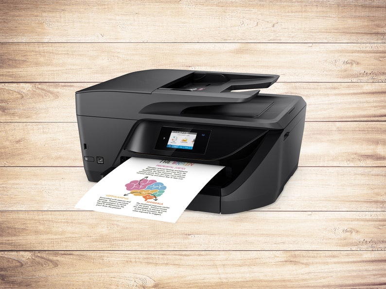 May include: A black all-in-one printer with a paper tray and a color touchscreen display. The printer is printing a page with a diagram of the brain labeled with the words "The Brain", "Frontal Lobe", "Parietal Lobe", "Temporal Lobe", "Occipital Lobe", "Superficial", "Deep", and "Animals".