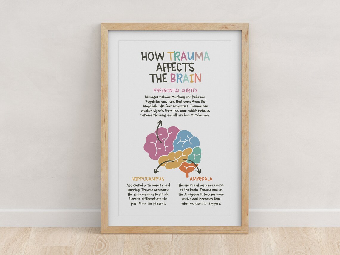 How Trauma Affects the Brain Poster Positive Affirmations - Etsy