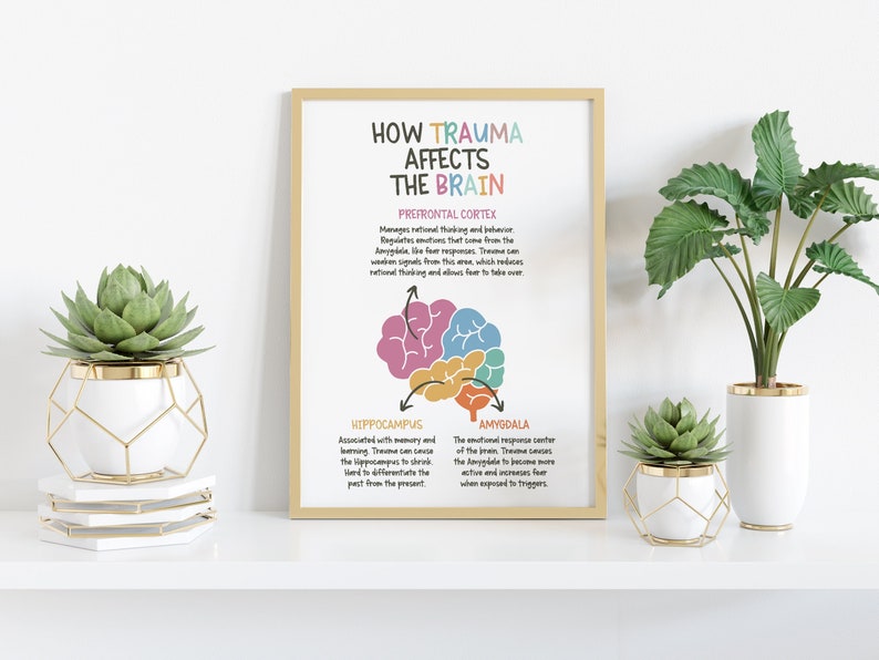 May include: A printable poster with a colorful illustration of the brain and text explaining how trauma affects different parts of the brain. The text includes the terms "Prefrontal Cortex", "Hippocampus", and "Amygdala".