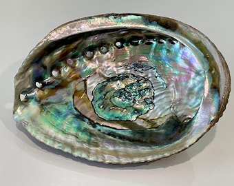 Abalone Shell