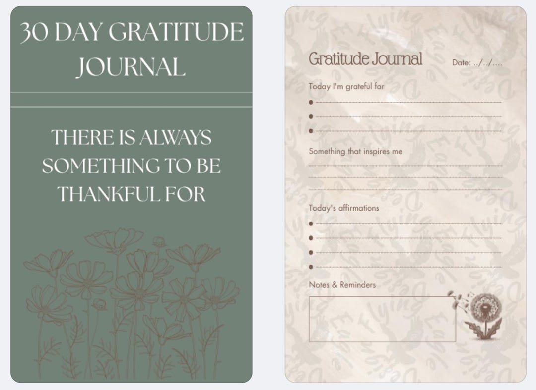 30 Day Digital Download Gratitude Journal - Etsy