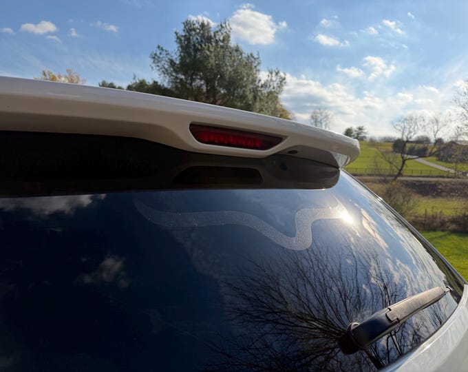 Western Longhorn Silhouette