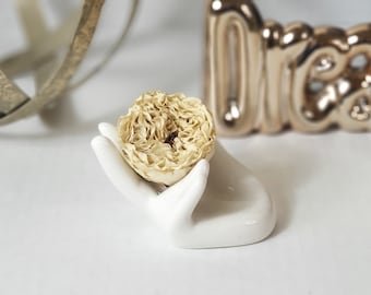 12 Pack Small Garden Head Preserved Roses Ivory 1.5 inch x 1.2 inch | Infinity Roses | Eternal Roses | Floral Supplies | Forever rose
