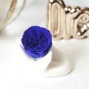 12 Pack Small Garden Head Preserved Roses Blue 1.5 inch x 1.2 inch | Infinity Roses | Eternal Roses | Floral Supplies | Forever rose