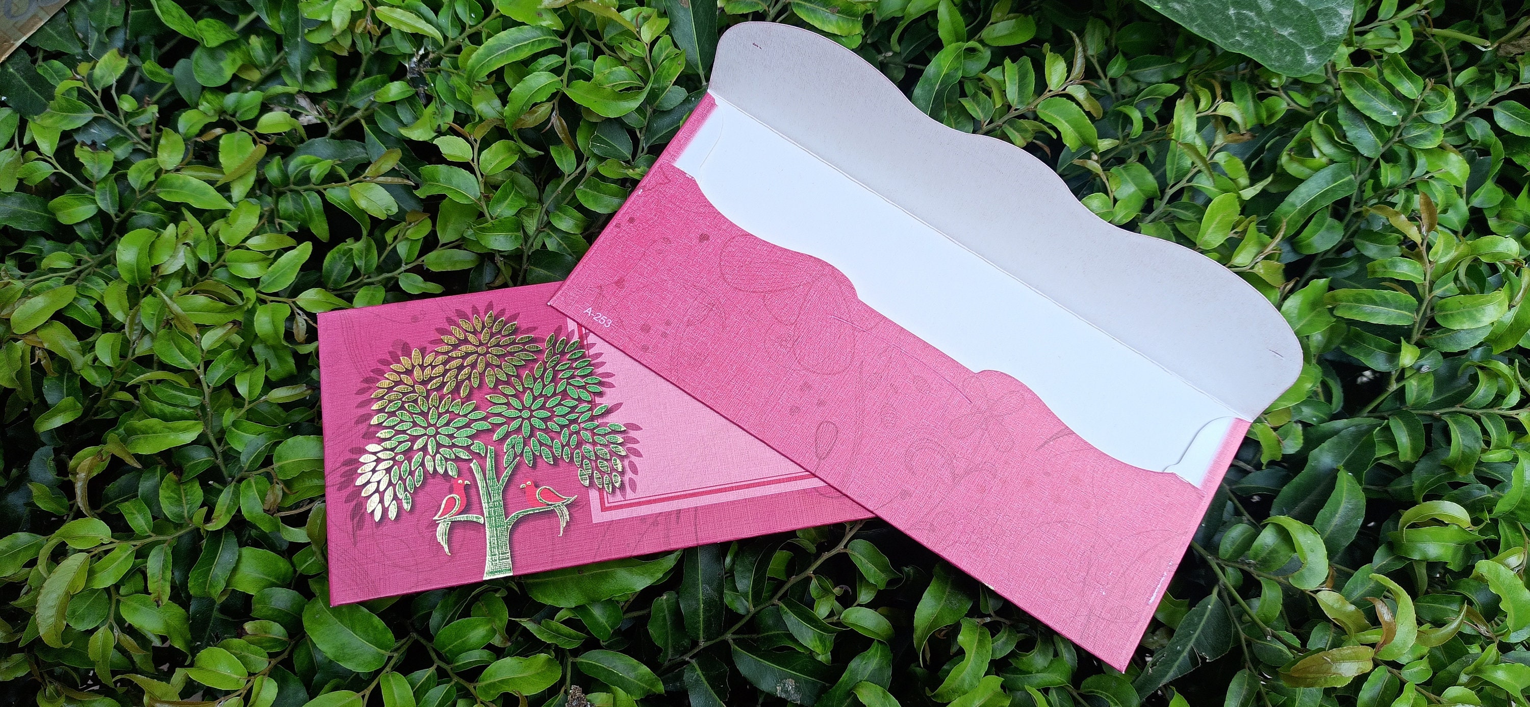 Envelope Set of 12 Premium Shagun Paper Cash Envelopes for Cash Pink ...