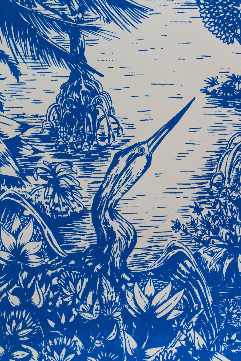 Blue Mangrove image 2