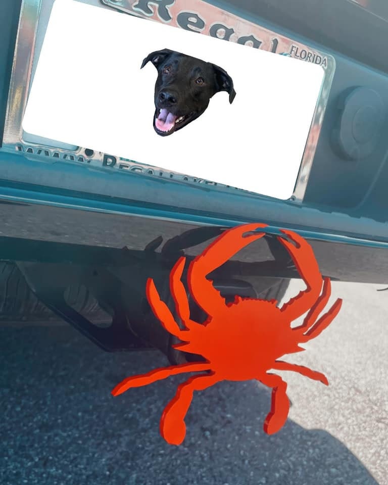 Custom Trailer Hitch Cover Etsy