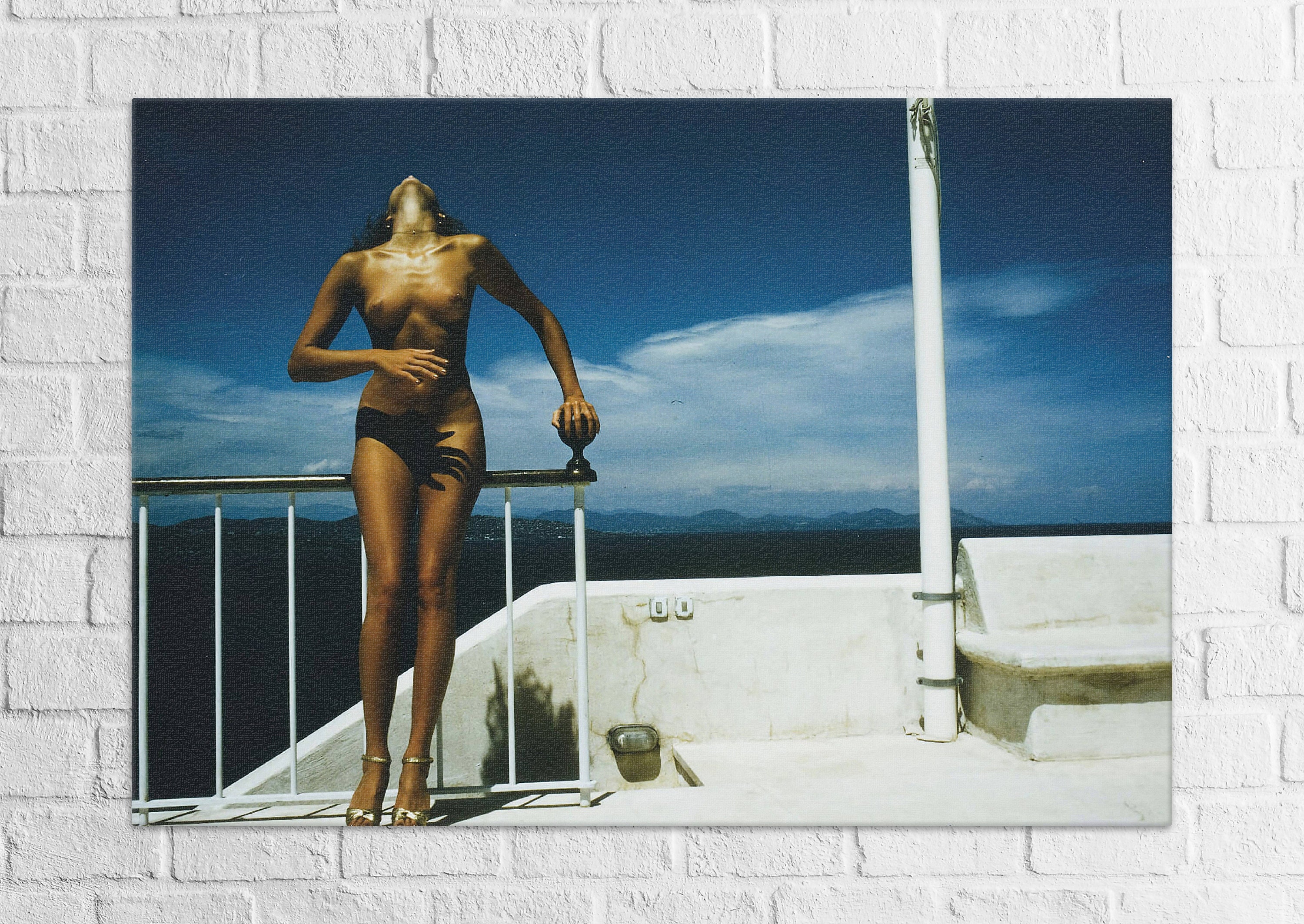 Canva of Nude for Pentax Nude for Pentax by Helmut Newton pic