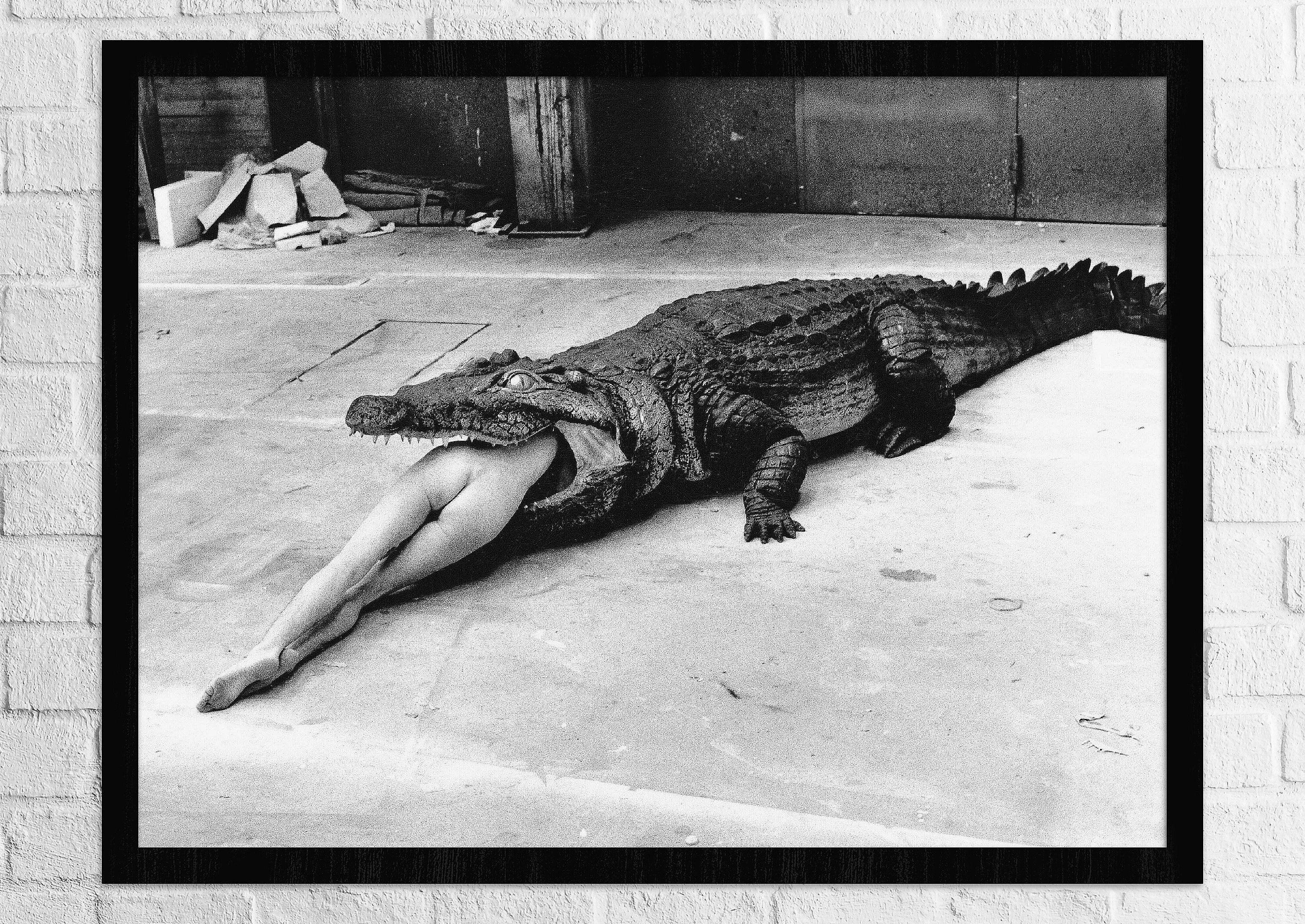 Vintage Print / Cocodrilo Comiendo Bailarina / Helmut Newton / - Etsy México Vintage Print / Cocodrilo Comiendo Bailarina / Helmut Newton / - Etsy México