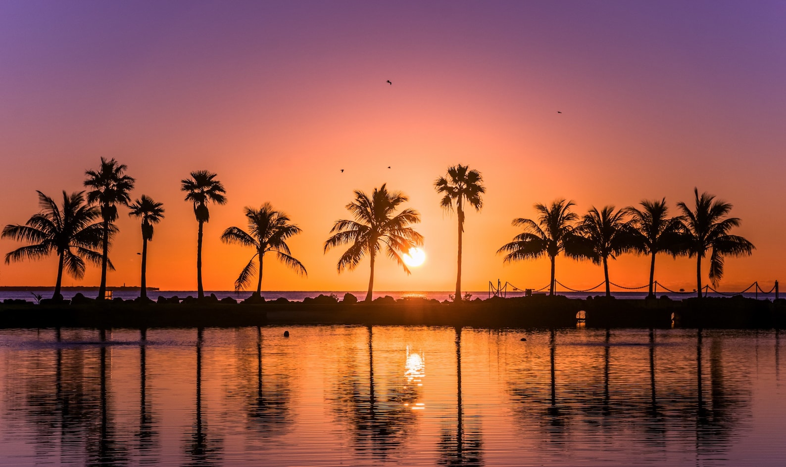 Miami Sunrise Florida Landscape Photography Wallpaper Digital Download