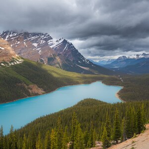 Peyto Lake Canvas Print: Banff National Park Landscape Photography
