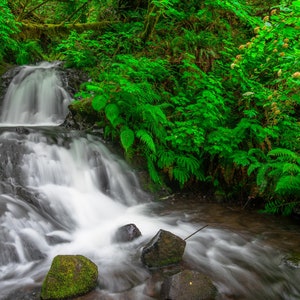 Waterfall - Nature - Landscape - Photography - Digital Download - Wallpaper - Oregon - Outdoors - Fine Art - Art - Mountains - Forest