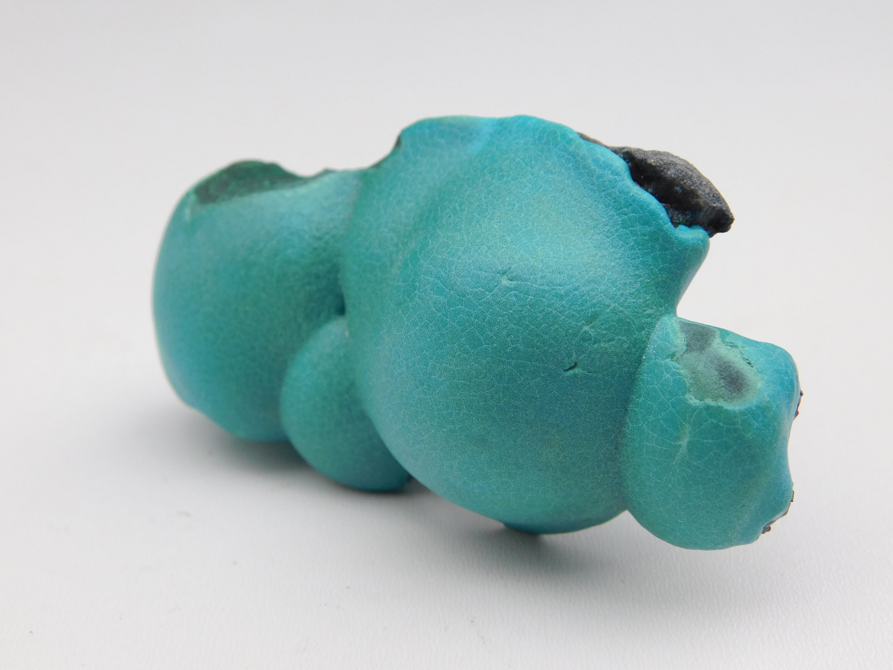 Chrysocolle Congo 7.3 X 3.9 3