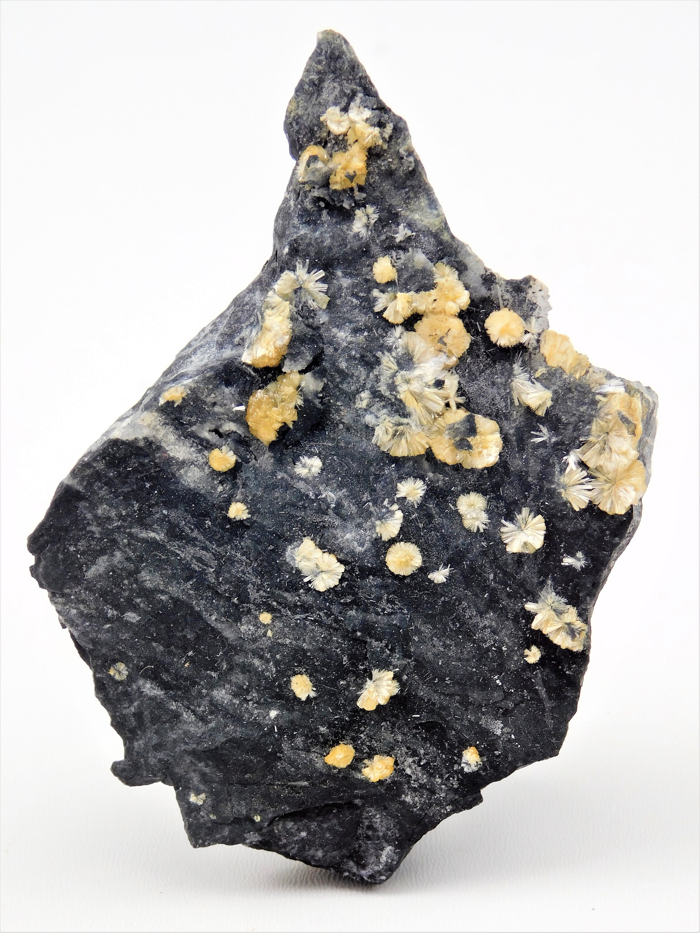 Valentinite Chine 8 X 5.5 2.9