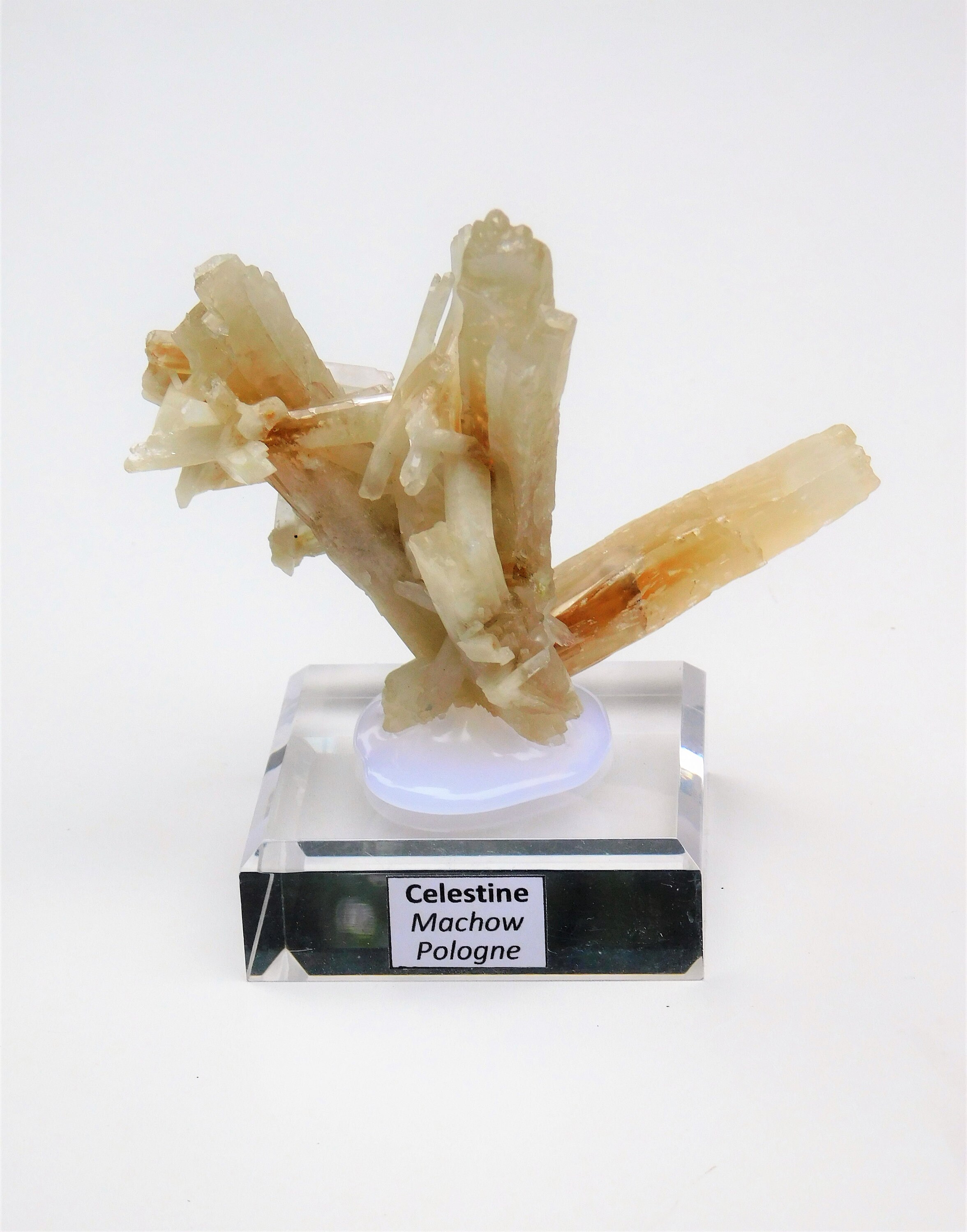 Celestite 7.5 X 7 5 Pologne