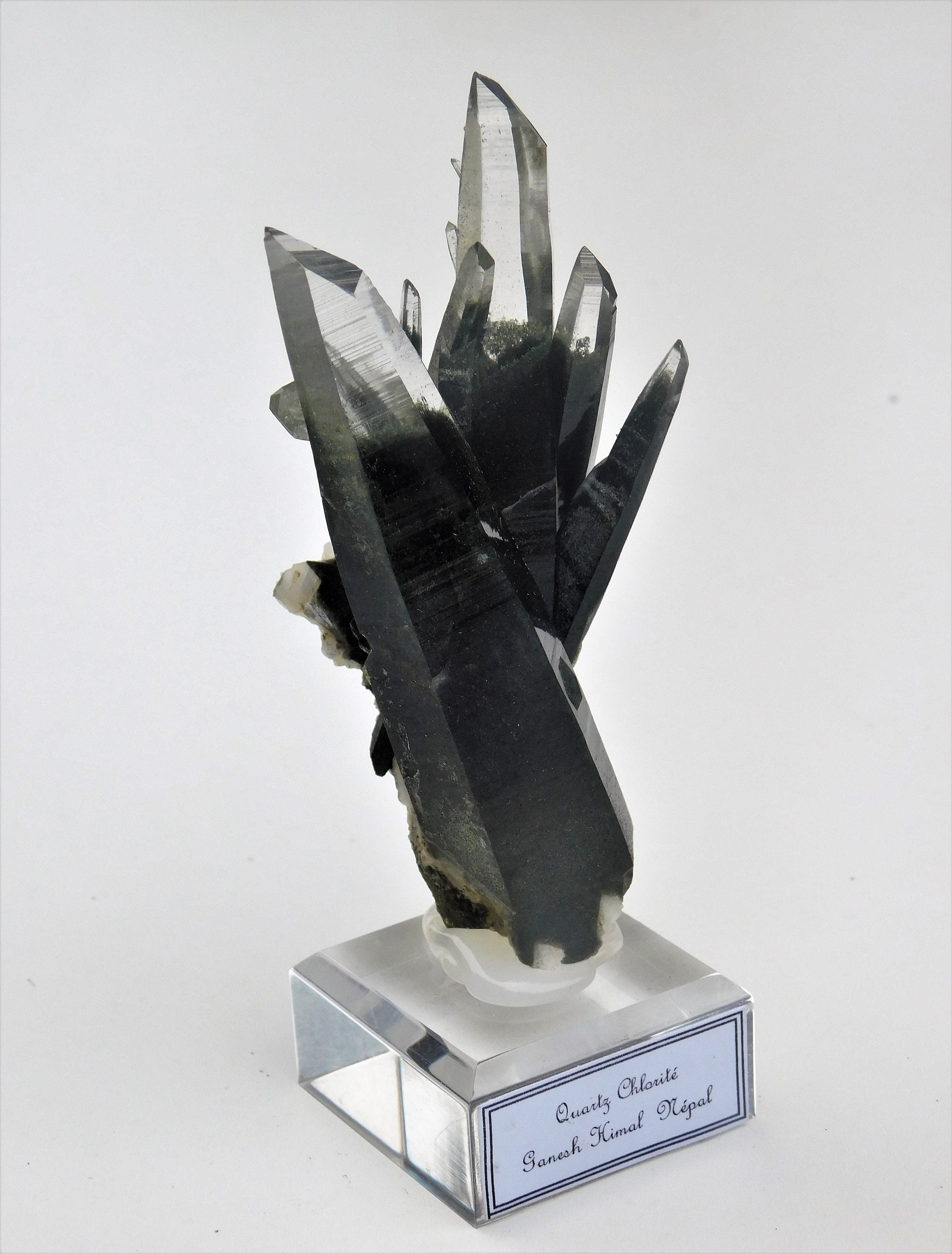 Quartz Chlorite 10.3 X 4.5 4 Népal