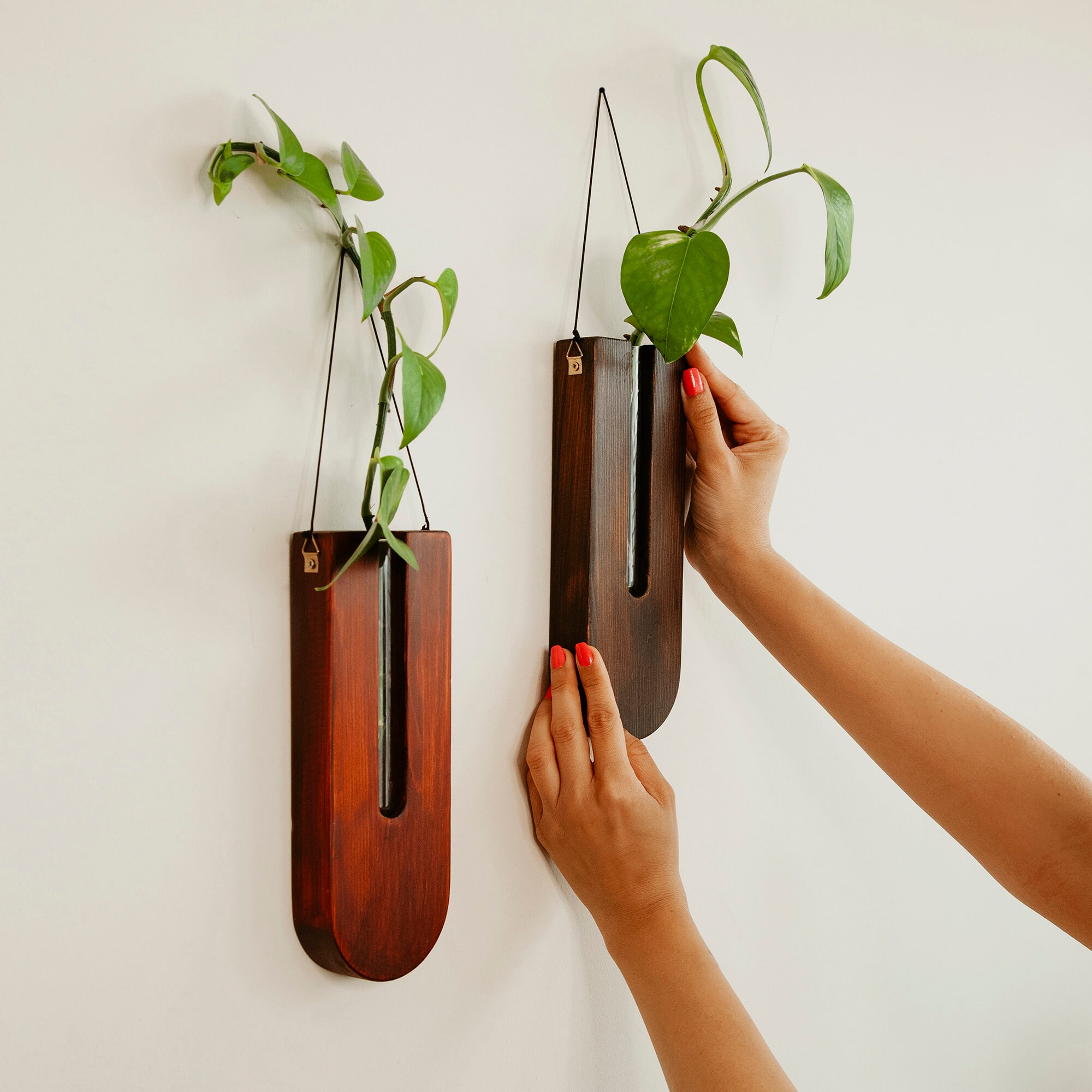 Wall Plant HangerHanging Wall PlanterWall Planter Etsy
