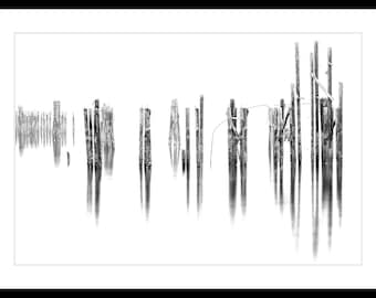 B&W Fine Art Print, Limited Edition Fine Art Print, Old Piers, Pilings