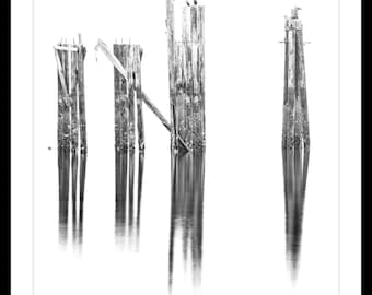 B&W Fine Art Print, Limited Edition Fine Art Print, Old Piers, Pilings