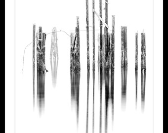 B&W Fine Art Print, Limited Edition Fine Art Print, Old Piers, Pilings