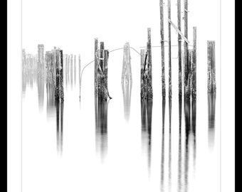 B&W Fine Art Print, Limited Edition Fine Art Print, Old Piers, Pilings