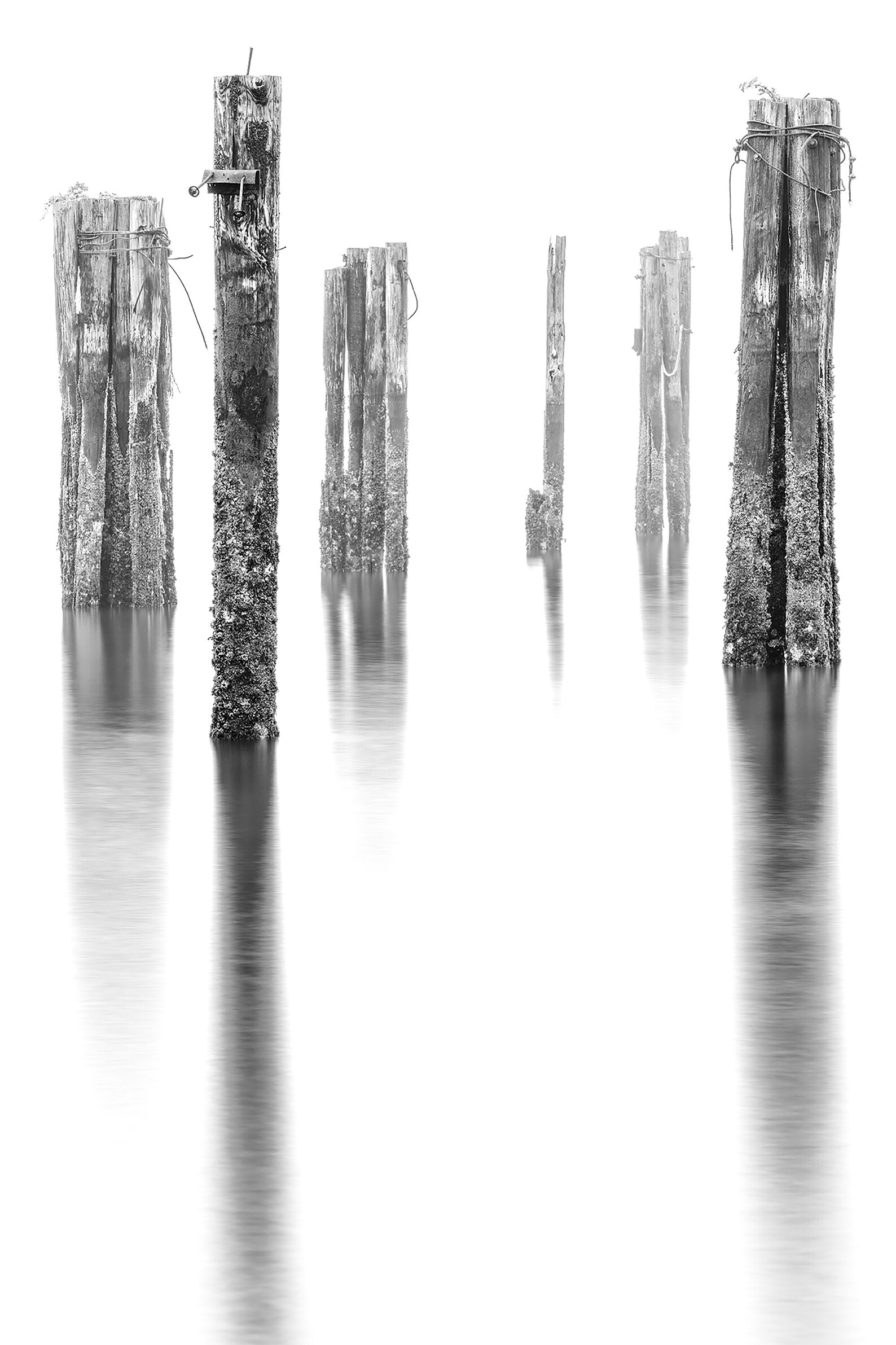 B&W Fine Art Print, Limited Edition Fine Art Print, Old Piers, Pilings