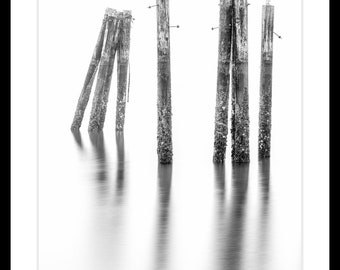 B&W Fine Art Print, Limited Edition Fine Art Print, Old Piers, Pilings