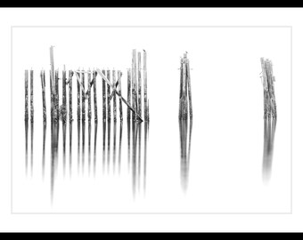 B&W Fine Art Print, Limited Edition Fine Art Print, Old Piers, Pilings