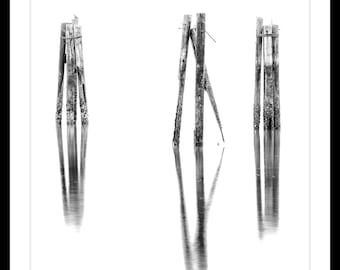 B&W Fine Art Print, Limited Edition Fine Art Print, Old Piers, Pilings