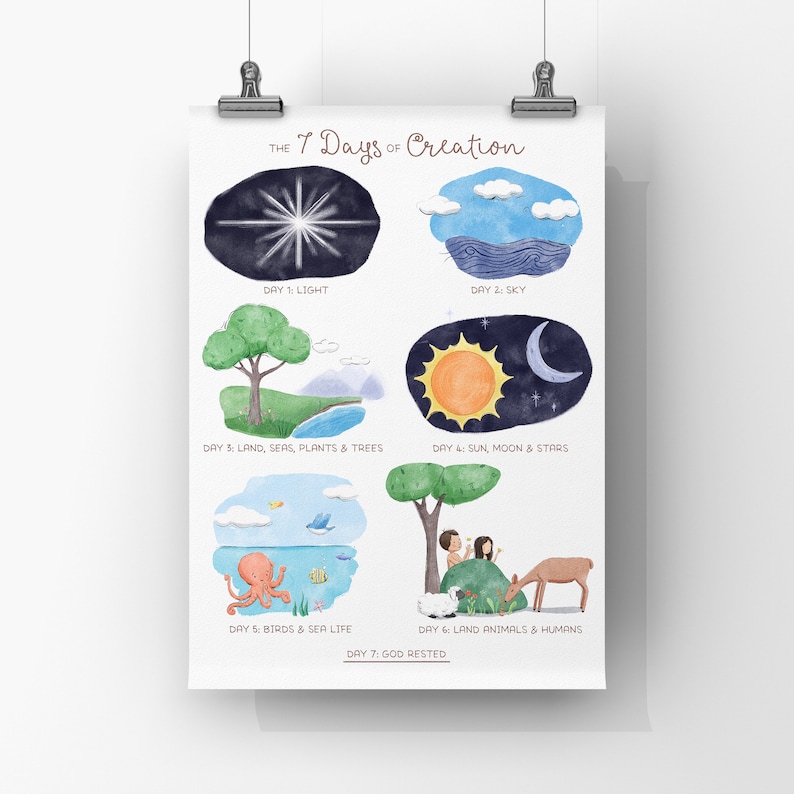 May include: A colorful illustration depicting the seven days of creation. Each day is represented by a different scene, including light, sky, land, seas, plants, trees, sun, moon, stars, birds, sea life, land animals, and humans. The text "THE 7 DAYS OF CREATION" is at the top of the illustration.