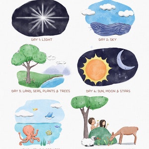 May include: An illustrated poster depicting the seven days of creation. Each day is represented by a watercolor circle with a depiction of the creation event. Day 1: Light, Day 2: Sky, Day 3: Land, Seas, Plants & Trees, Day 4: Sun, Moon & Stars, Day 5: Birds & Sea Life, Day 6: Land Animals & Humans, Day 7: God Rested.