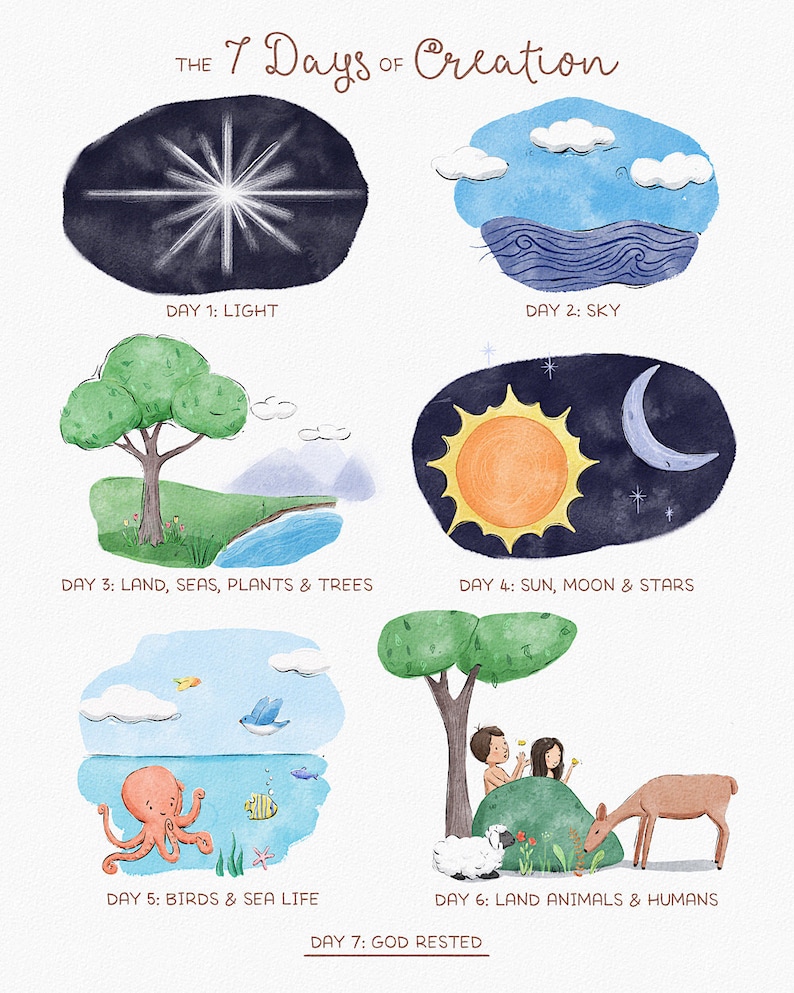 May include: An illustrated poster depicting the seven days of creation. Each day is represented by a watercolor circle with a depiction of the creation event. Day 1: Light, Day 2: Sky, Day 3: Land, Seas, Plants & Trees, Day 4: Sun, Moon & Stars, Day 5: Birds & Sea Life, Day 6: Land Animals & Humans, Day 7: God Rested.
