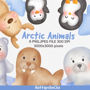 Arctic animals png clipart , polar bear clipart .